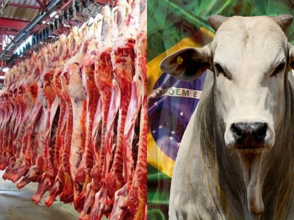 Produção de carne evolui, e Brasil já participa com 28% do mercado internacional
